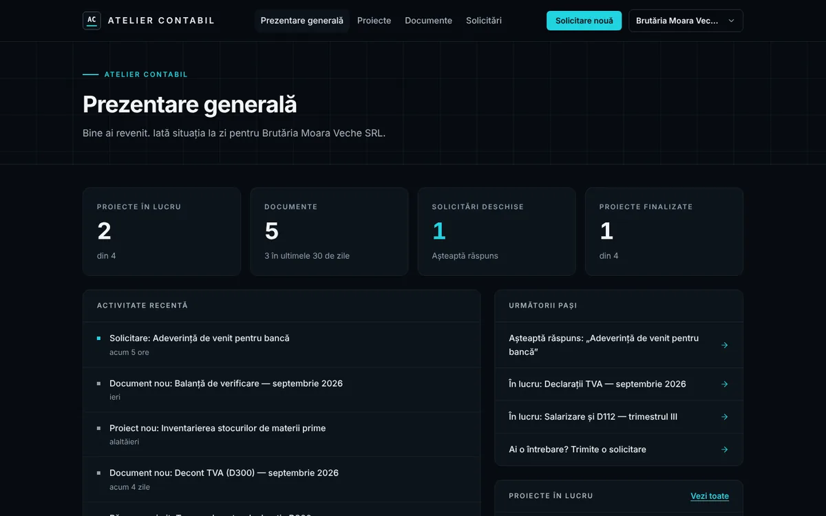 Portal clienți: pagina de prezentare a unei firme de contabilitate demonstrative